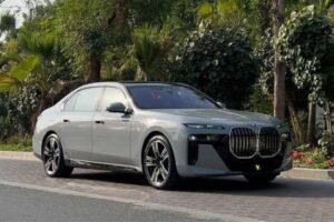 BMW 7 Series Gray R73030