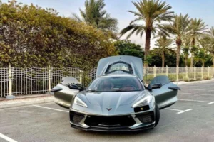 CHEVROLET CORVETTE GRAY Y 24950