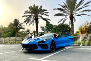 CHEVROLET CORVETTE Light Blue U 63030