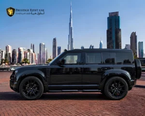Range Rover Defender image 2