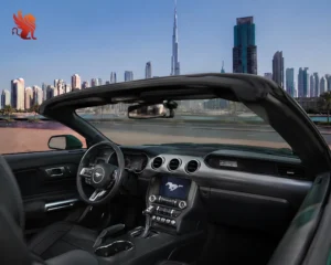 Ford Mustang Convertible image 4