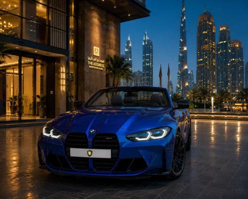 BMW (2)_11zon