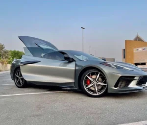 z (2)